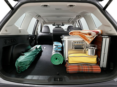 Specious cargo space 520L