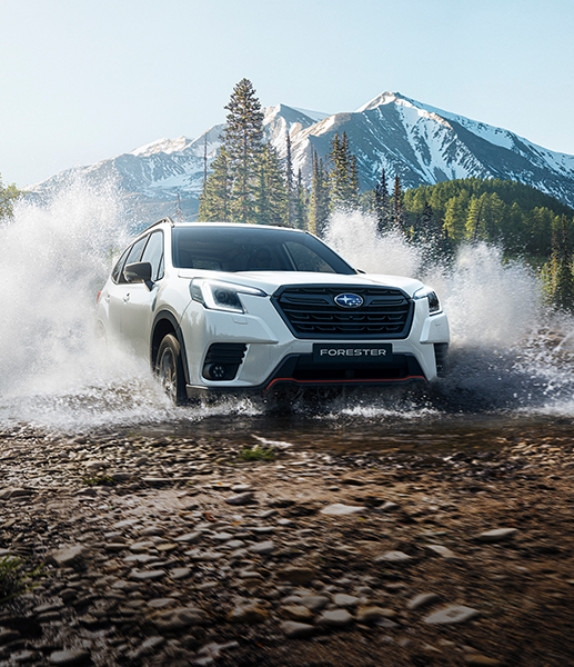 សមត្ថភាព